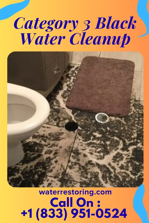 Category 3 Black Water Cleanup in Lansdowne, MD